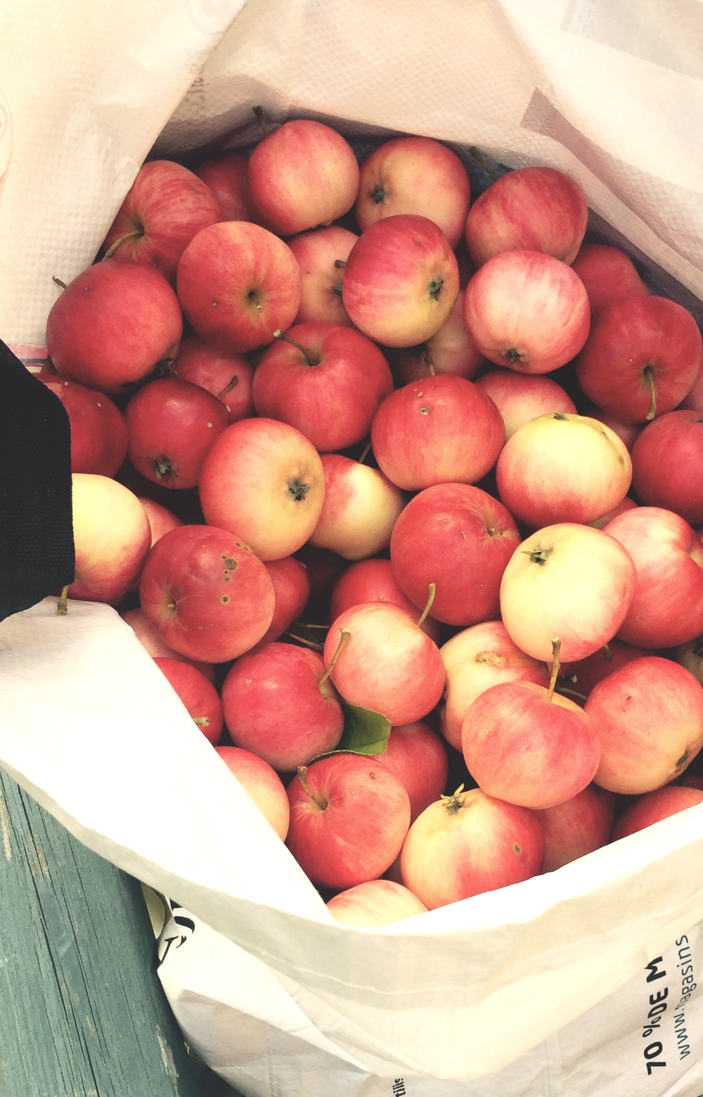 apple-pie-from-the-finnish-countryside-gluten-free-2b