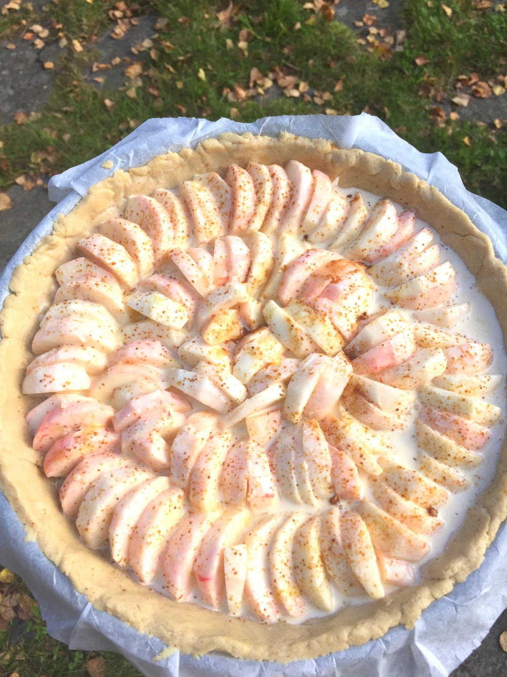 apple-pie-from-the-finnish-countryside-gluten-free-4b